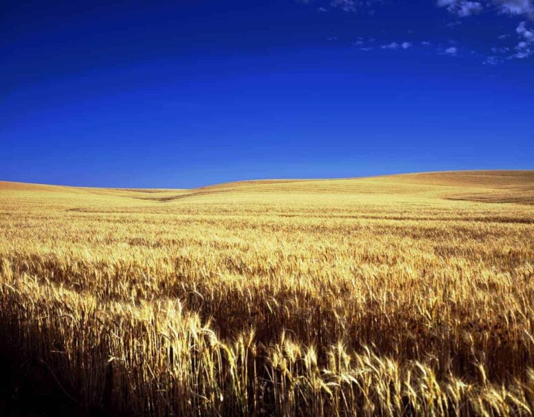 Choses mémorables à faire au Kansas