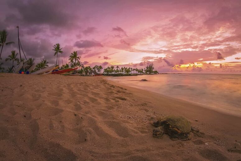 Choses aventureuses à faire sur la grande île d'Hawaï
